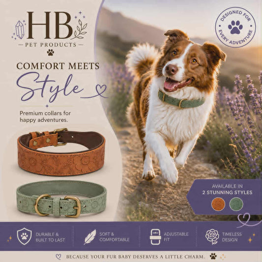 Dog Collars | Easy Wear | Healing Bohemian